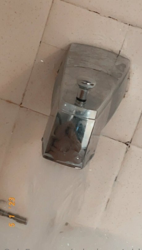 urlovingcatgirl pornstar best photos