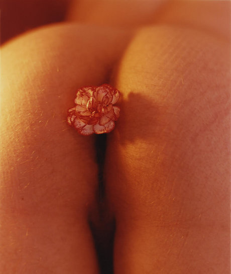 taytehanson pornographic actress image