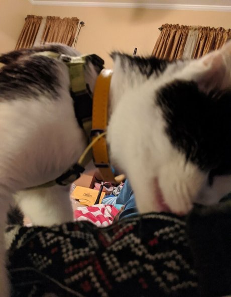 blonde asian onlyfans hot naked image