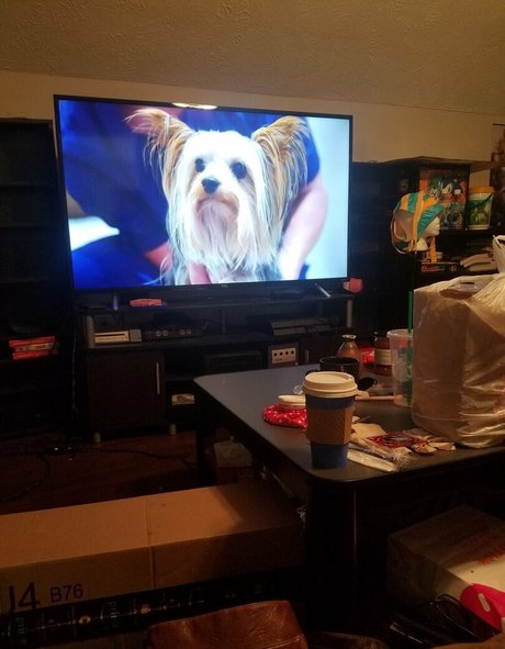 influencer girls onlyfans pornos pictures