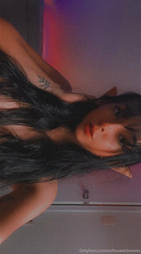 sofiaswetdreams art star galleries