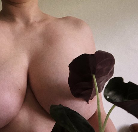 aatalante star beautiful img