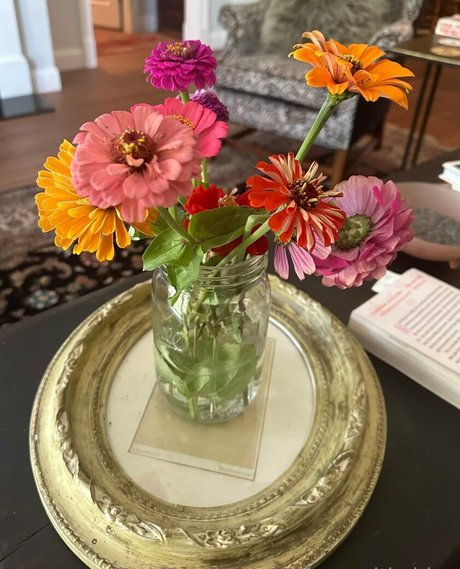 selfcarewithchloe high quality star galleries