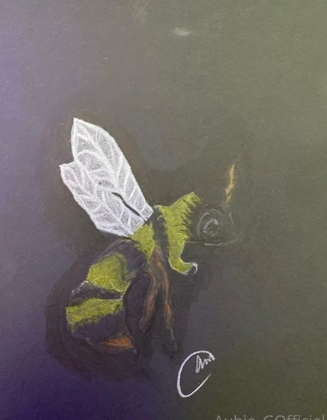 goth trans onlyfans pornographic pictures