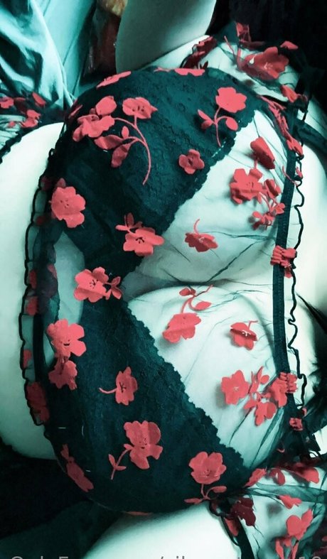 silver stormz19 perfect star archive