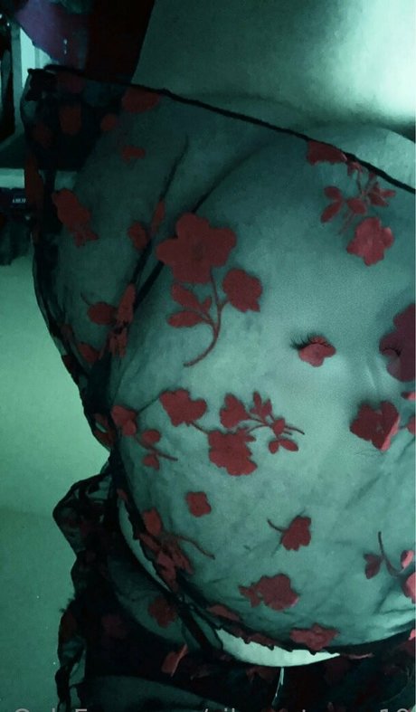 silver stormz19 model pictures