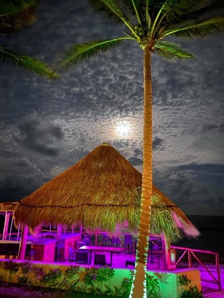 Mex4BBC xxx model image