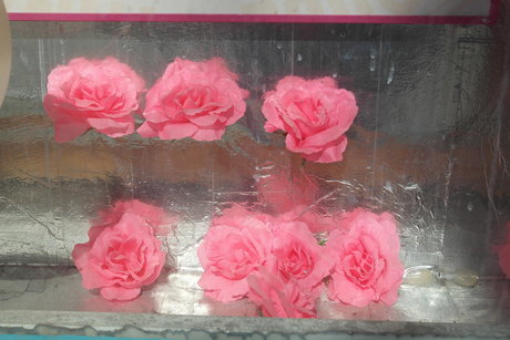 Metsanneiti sex model pic