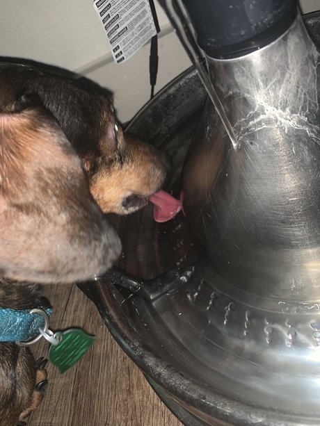 _cumm sexy model picture