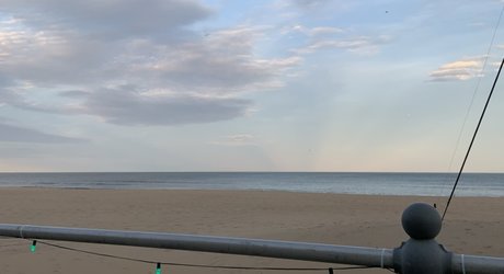 Beach Babez star perfect archive