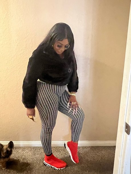 Bentley star free gallery