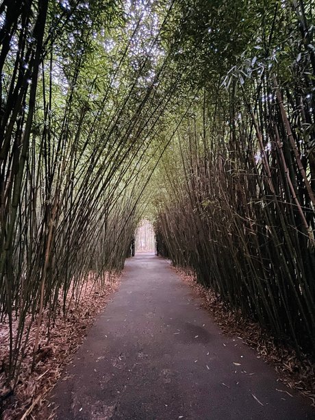 Miky 88 high quality pornstar photos