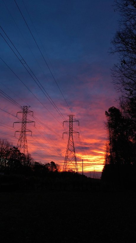 Mikki_ perfect actress pictures