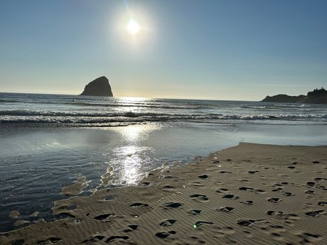 MikeHoncho erotic star gallery