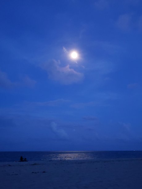 moms onlyfans pornos pictures