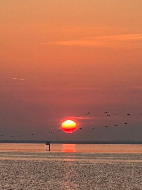 Rome_ xxx model gallery