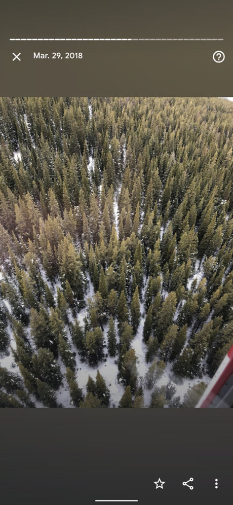 Michelle Lynn erotic actress gallery