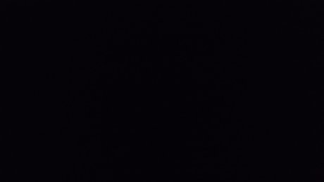 Jorgelina anahi nude star photo