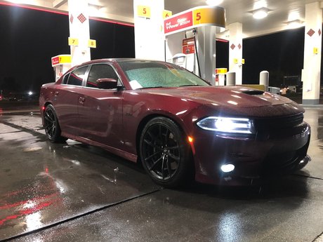 Francisco pornstar hd pics