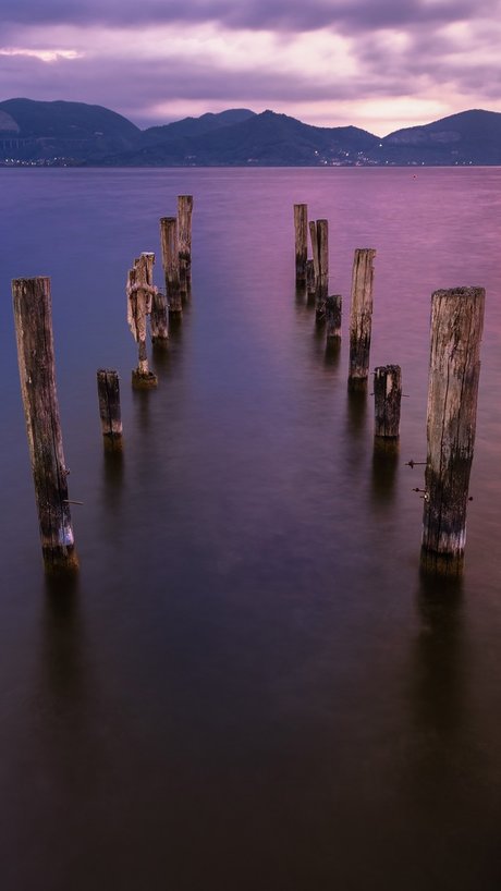 CarlyMR free star photo