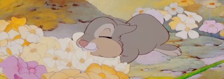 Milk and Sugar_ nice star img