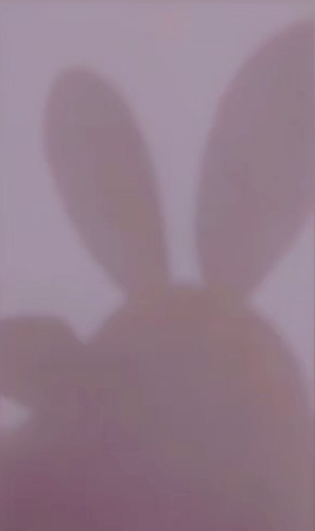 Milenita_ porn model gallery