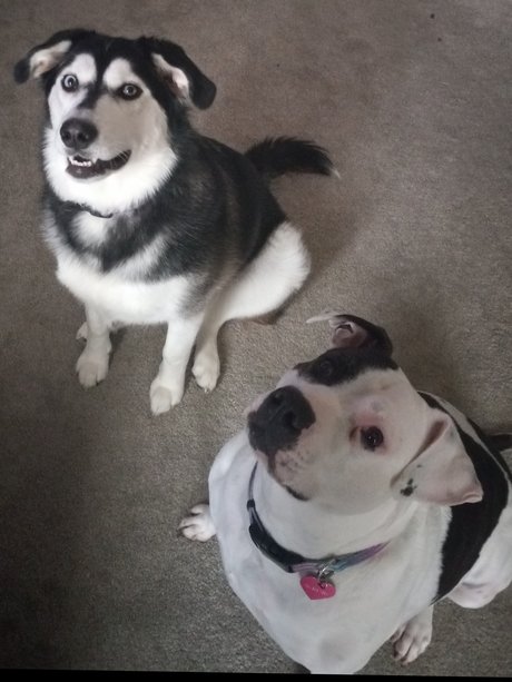 Karah pornographic model picture