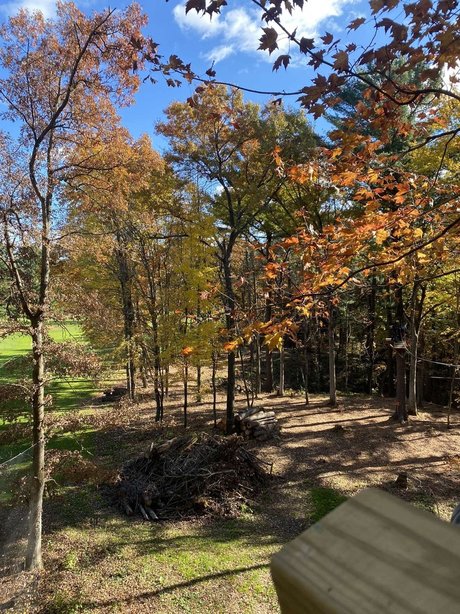 Cara Arizpe naked model gallery