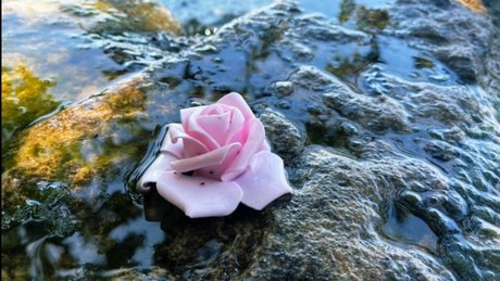 blowjob public onlyfans beautiful porn image