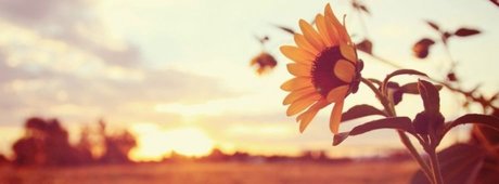 Sunnybunnysunshine star free pic