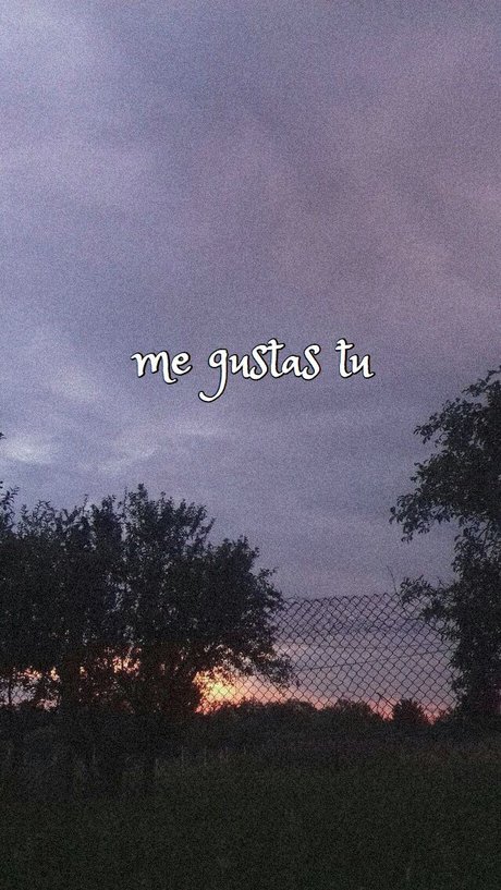 Miss Spicy top star pics