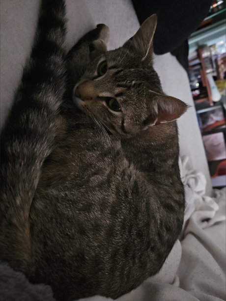 _Auntie Carrie_ model sex img