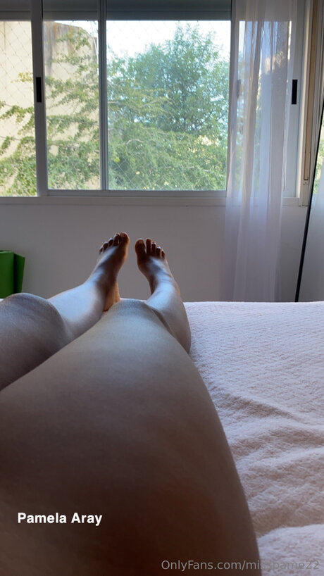 Pamela Aray_ pornstar adult gallery