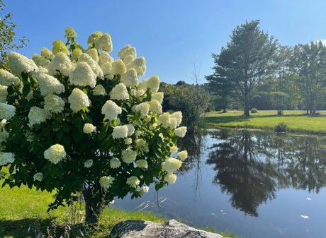 Miss Jen model nudes images