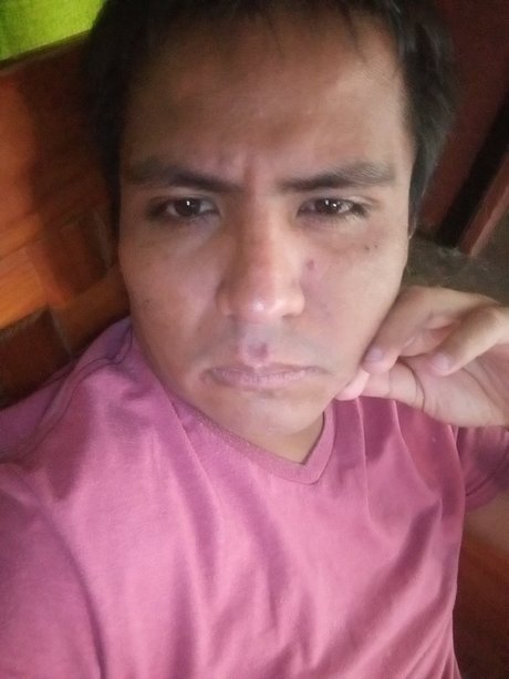 Sej zurc art pornstar gallery