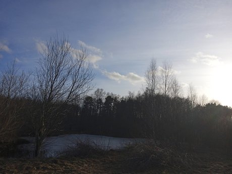 Milisixx high quality actress image