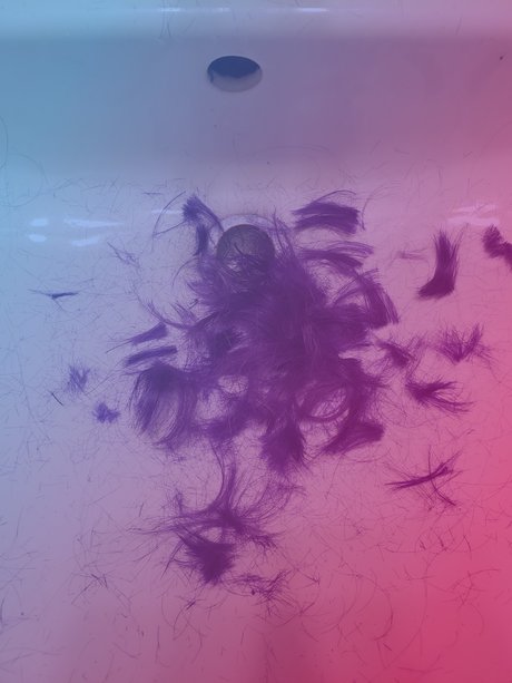 _himbo pussy_ beautiful star photos