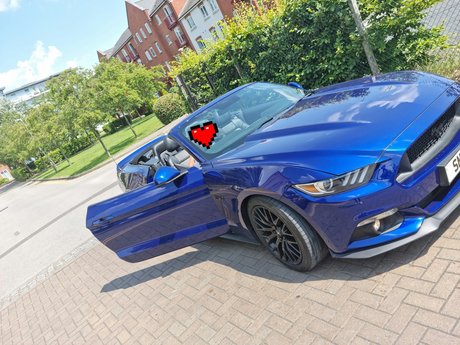 HotWidow adult actress pic