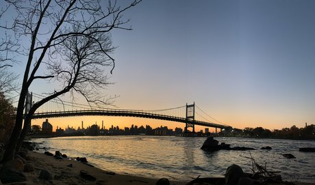 mister felix exclusive star images