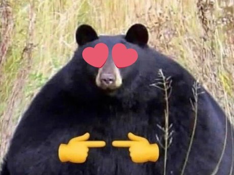 JB the Jawbreaker Bear pornstar pretty photos