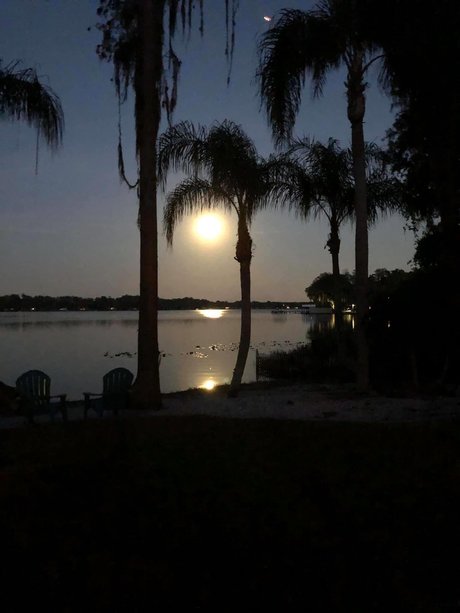 Kushqueen420 beautiful model archive