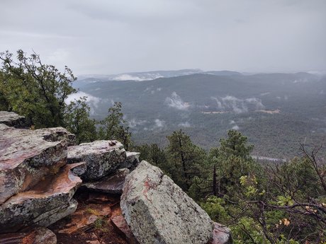 Rae Rich star adult pic