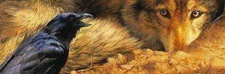 Vance Hazelton nude pornstar photo