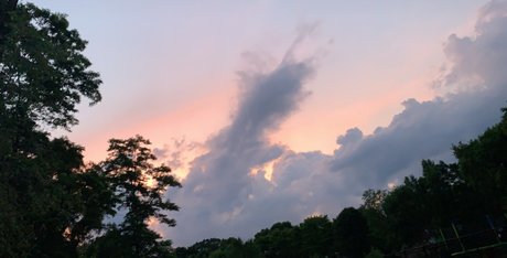 Hoffzilla pornographic star image