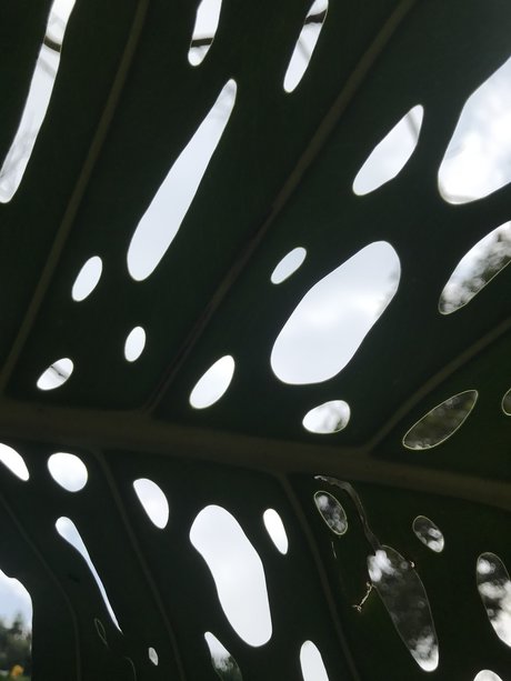 Jack Taylor free star archive