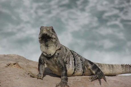 Gab best model galleries