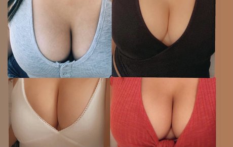 Lexani model perfect img