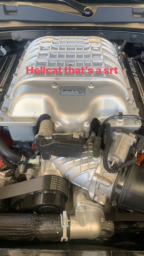 Your desires model perfect galleries