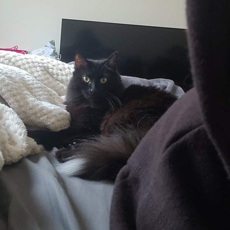 Camie Beilschmidt sexy pornstar pictures