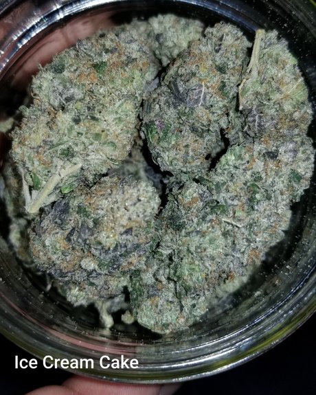 YogaYo free model image